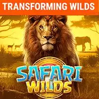 Safari Wilds,